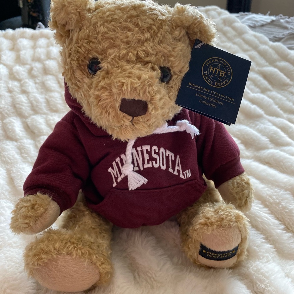 Minnesota Teddy Bear with Hoodie NWT